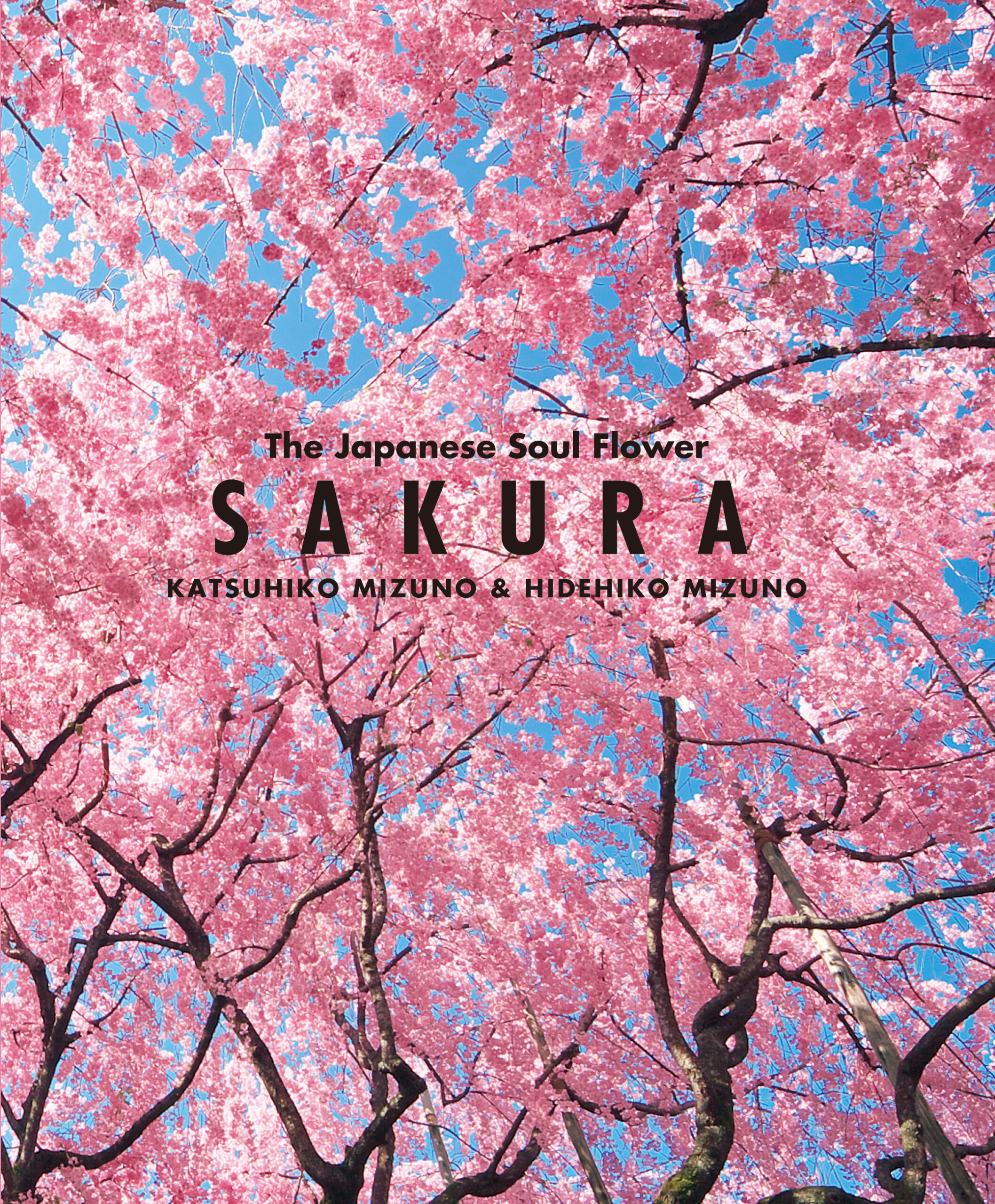 The Japanese Soul Flower SAKURA